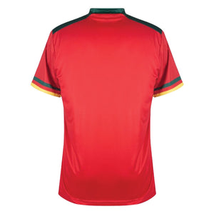 2022-2023 Cameroon Third Pro Football Shirt_1