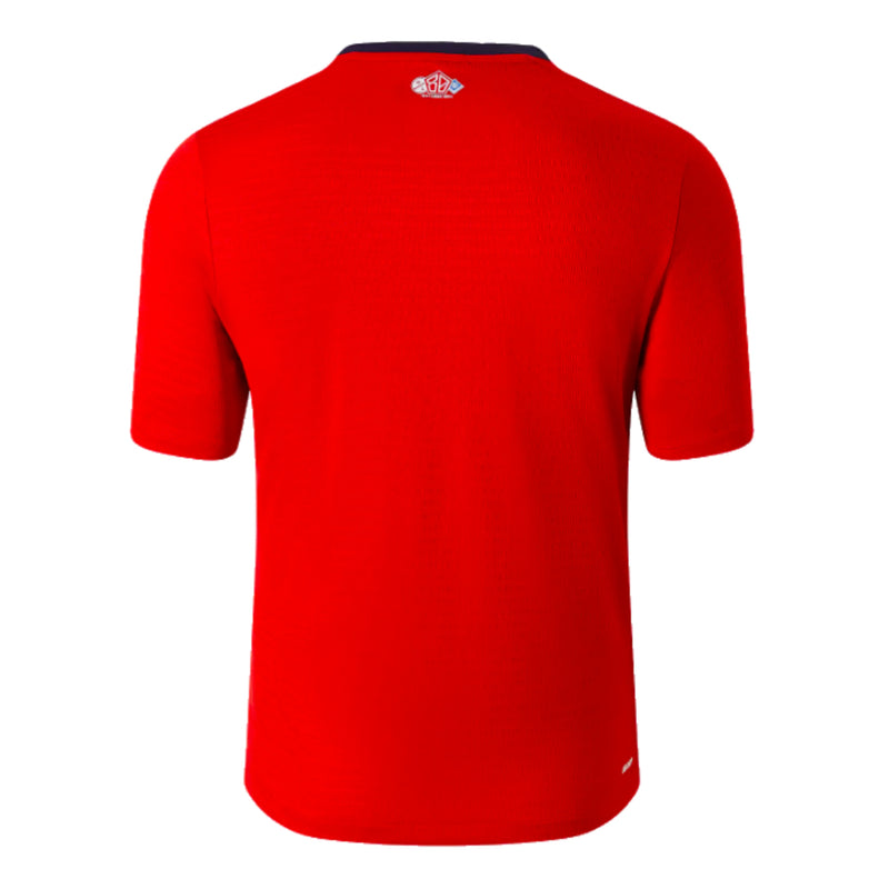 Maillot Nike Domicile LOSC Lille Vintage 2013-2014 - Taille M, Manches Longues, Rouge