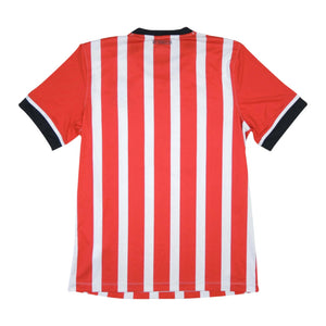 Southampton 2016-17 Home Shirt (L) (Excellent)_1