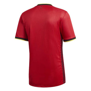 Belgium 2020-22 Home Shirt (L) (Excellent)_1