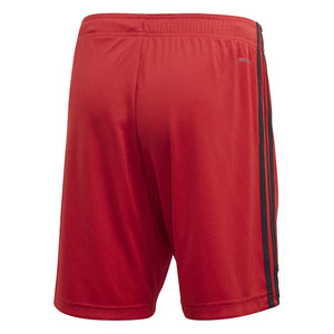 2020-2021 Belgium Home Adidas Football Shorts (Red)_1