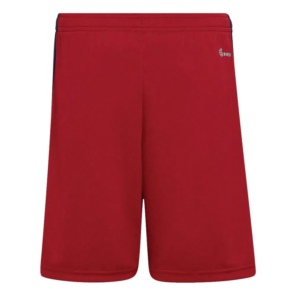 Ajax 2022-23 Away Shorts (3XL)  #10 (BNWT)_1