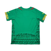 2014/16 Cameroon Home Shirt (L) Puma