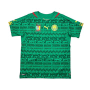 2014/16 Cameroon Home Shirt (L) Puma