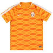 2017-18 Galatasaray Nike Training Shirt L
