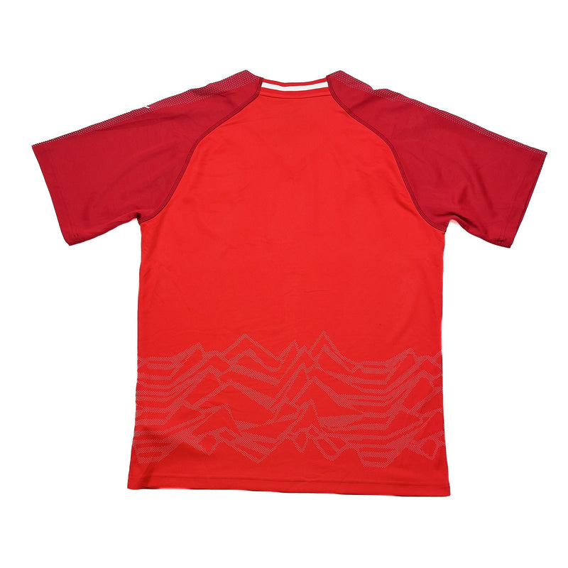 2018/19 Austria Home Shirt (L) Puma