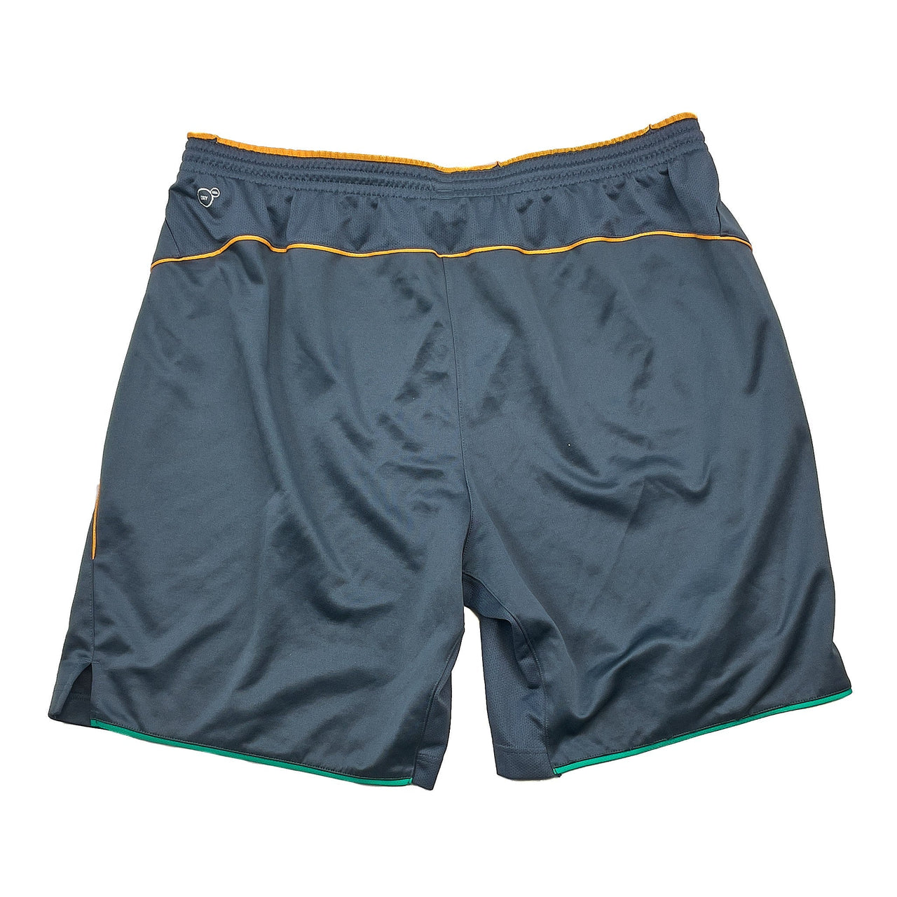 2019/20 Ivory Coast Training Shorts (XXL) Puma