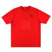 2022-23 Barnsley Puma Redout Shirt L