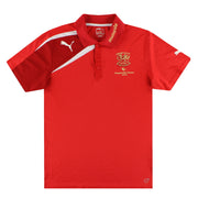 2012-13 Cardiff City Puma 'Winners' Polo Shirt M