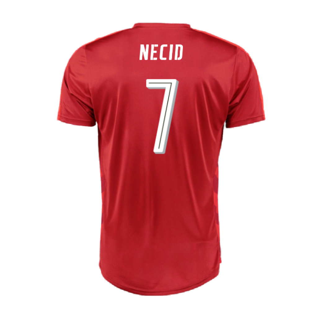 Czech Republic 2016-17 Home Shirt (L) (Excellent) (Necid 7)_1