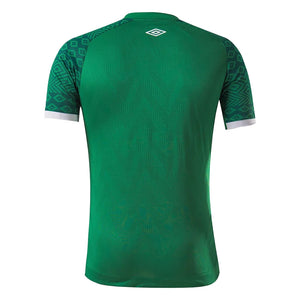 2021-2022 Chapecoense Home Shirt_1