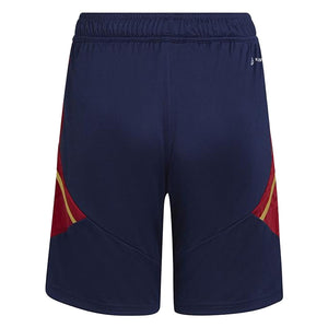 2022-2023 Ajax Training Shorts (Navy)_1