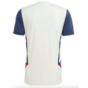 2022-2023 Arsenal Condivo 22 Pro Training Shirt (White)_1