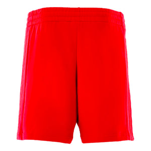 2024-2025 Bayern Munich DNA Shorts (Red)_1