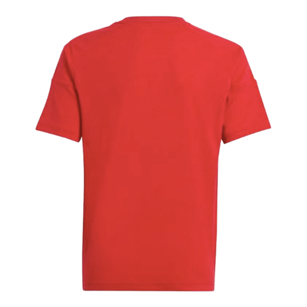 2024-2025 Hungary Home FAN Shirt (Kids) (PUSKAS 10)_1