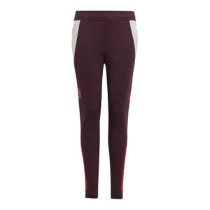 2024-2025 Bayern Munich Training Pants (Shadow Maroon) - Kids_0