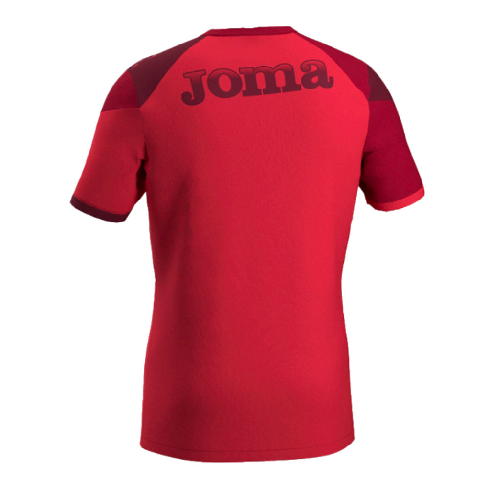 2024-2025 Torino Training Shirt (Red)_1