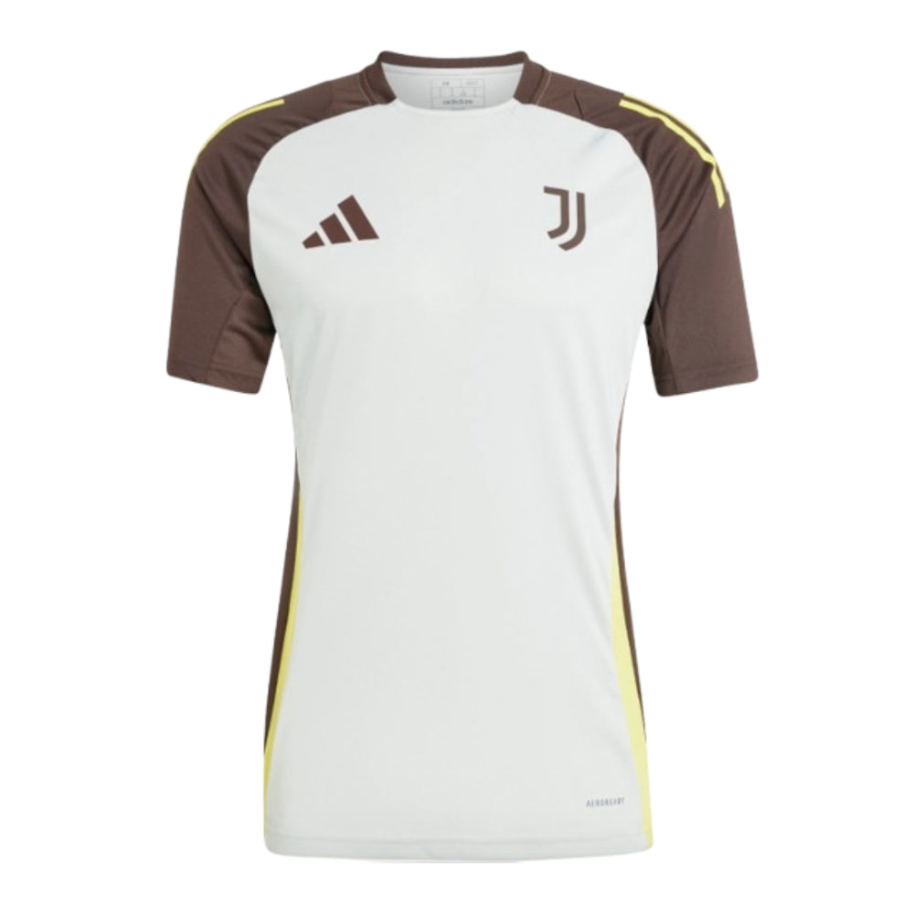 2024-2025 Juventus EU Training Jersey (Silver)_0