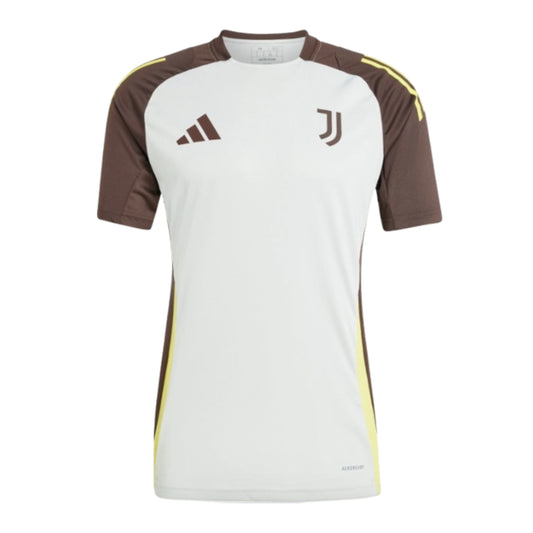 2024-2025 Juventus EU Training Jersey (Silver)_0