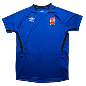 Al Ahly Umbro Training Shirt ((Mint) M)_0