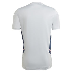 2022-2023 Arsenal Training Shirt (Clear Onix)_1